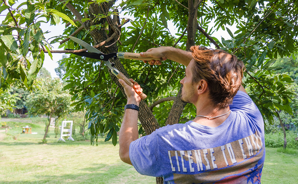 その他 Berry&Bird Loppers Garden Tools Tree Loppers 30 inch Long Handle with Compound Action